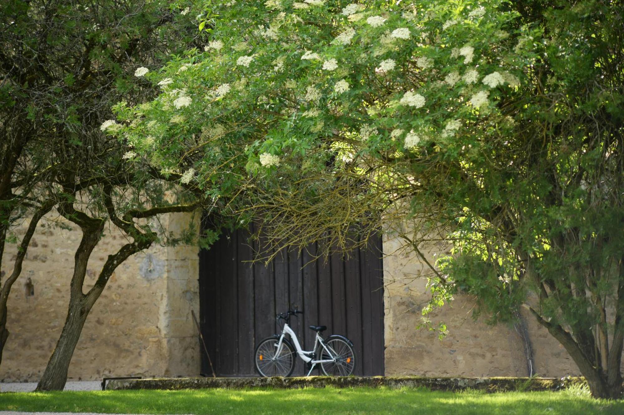 Chateau De Vault De Lugny Exteriör bild