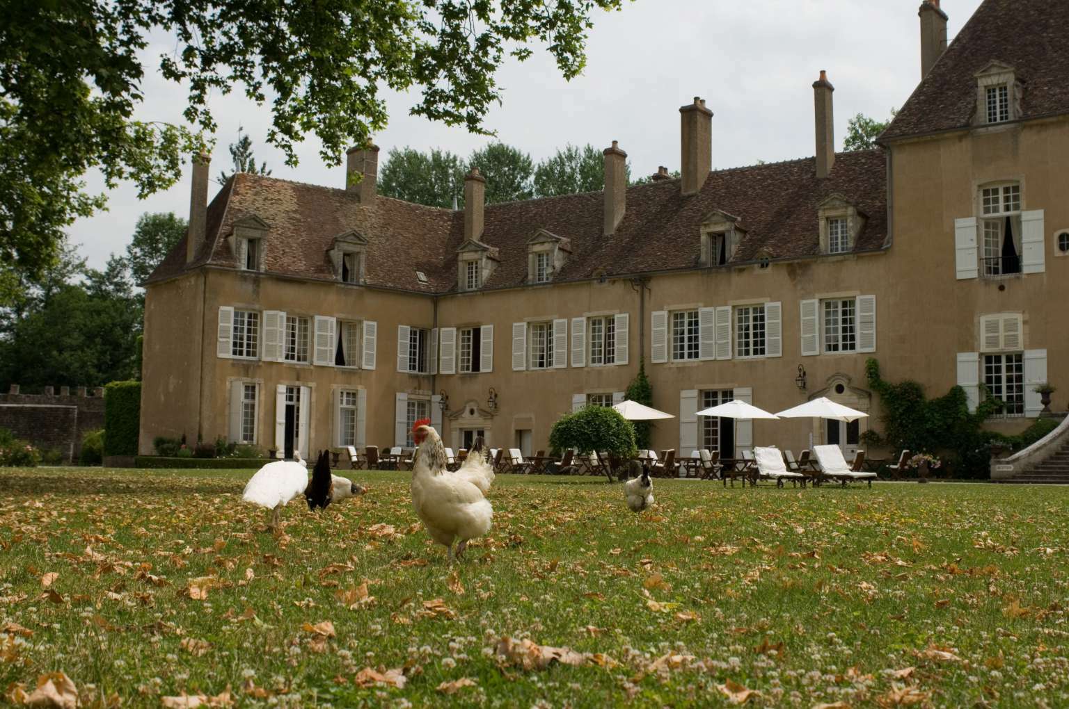 Chateau De Vault De Lugny Exteriör bild